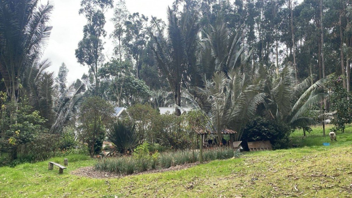 Casa En Arriendo - Vereda Rodamontal, Municipio Cogua