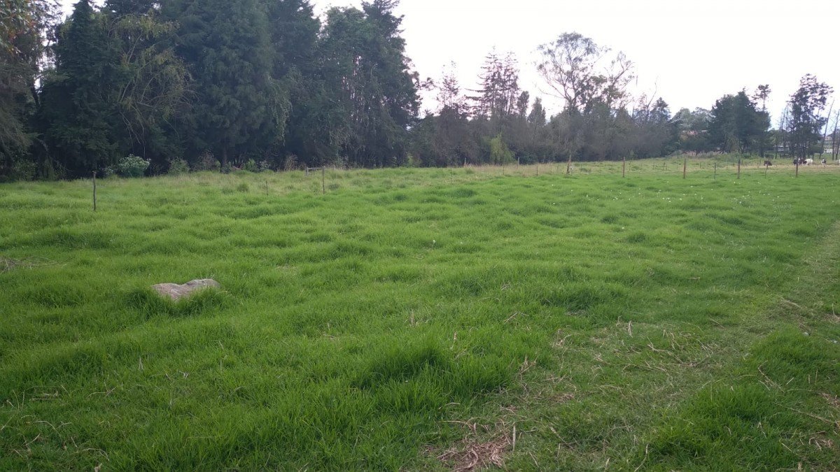 Casa En Arriendo - Siberia, Siberia