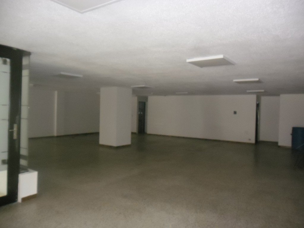 Casa En Arriendo - Quinta Camacho, Bogota