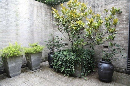 Casa En Arriendo - Santa Ana, Bogota