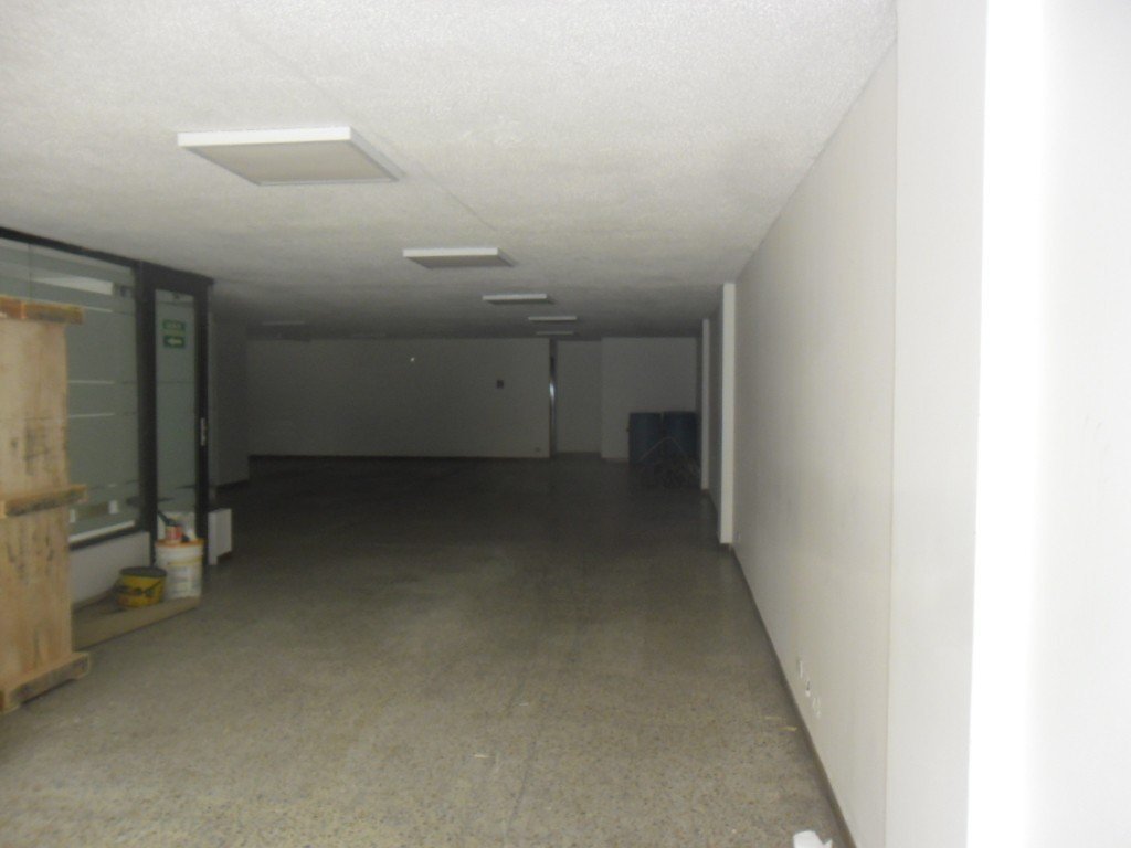 Casa En Arriendo - Quinta Camacho, Bogota