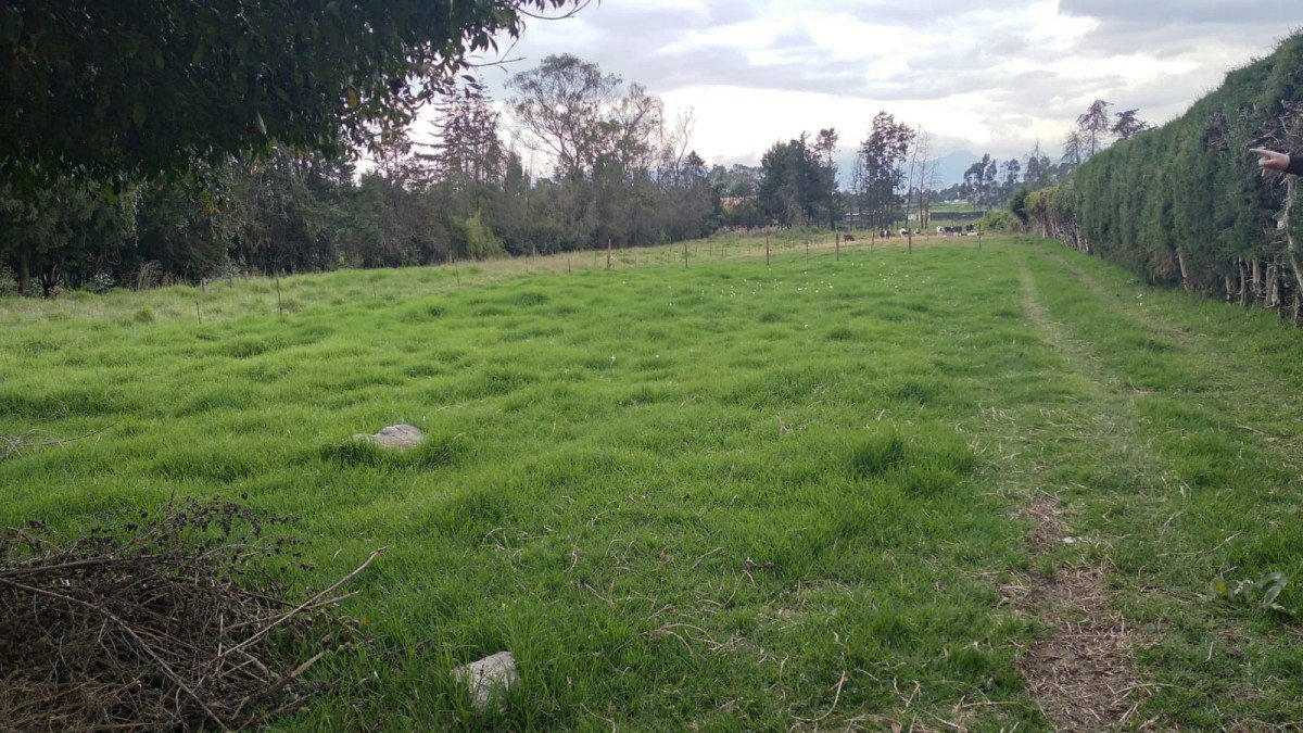 Casa En Arriendo - Siberia, Siberia