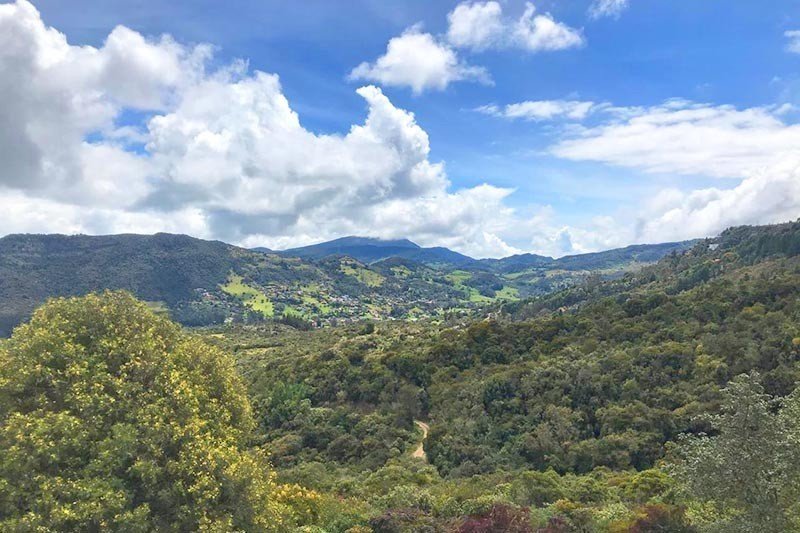 Casa En Arriendo - Arboretto, La Calera