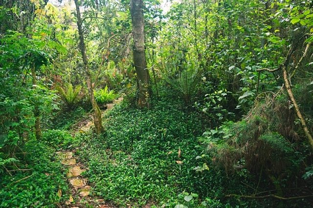 Casa En Arriendo - La Floresta De La Sabana, Bogota