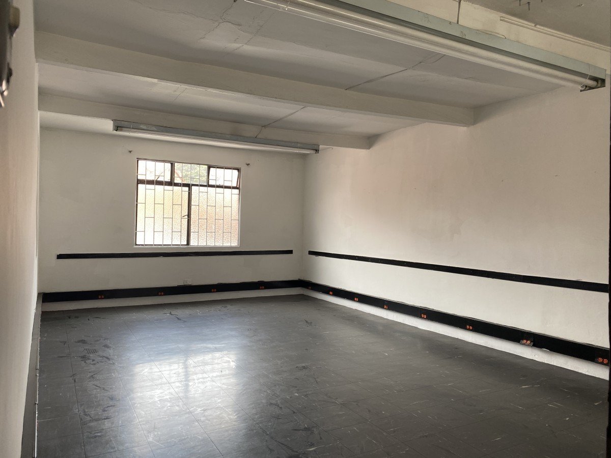 Casa En Arriendo - Quinta Camacho, Bogota