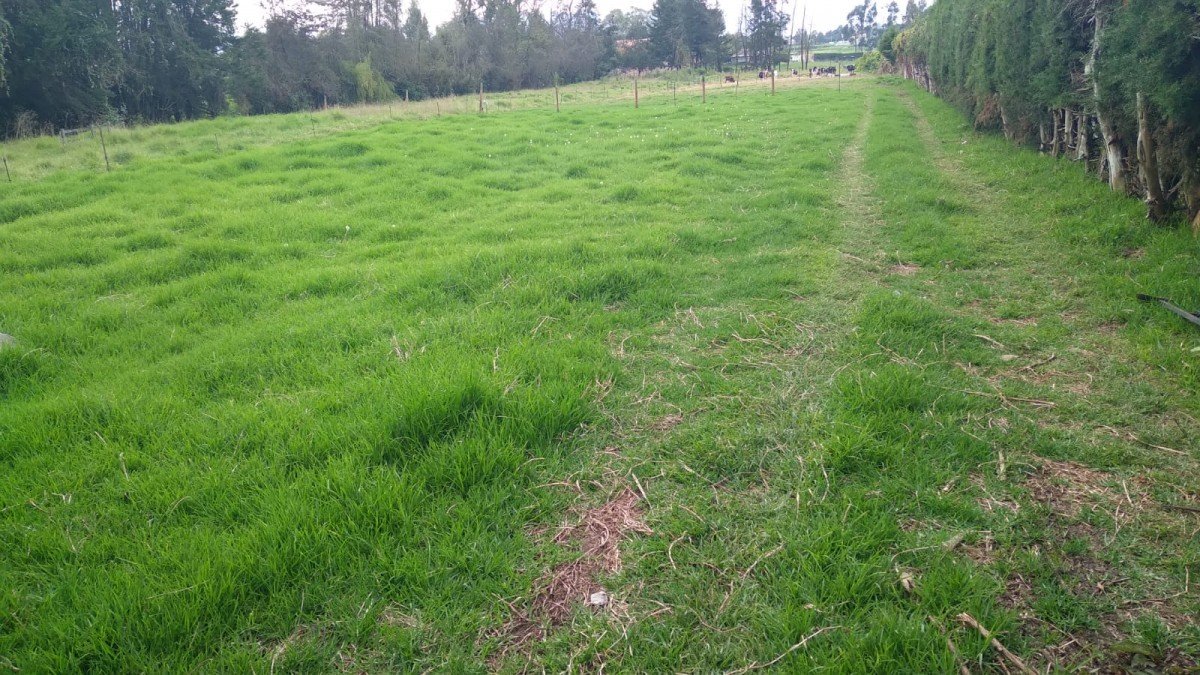 Casa En Arriendo - Siberia, Siberia