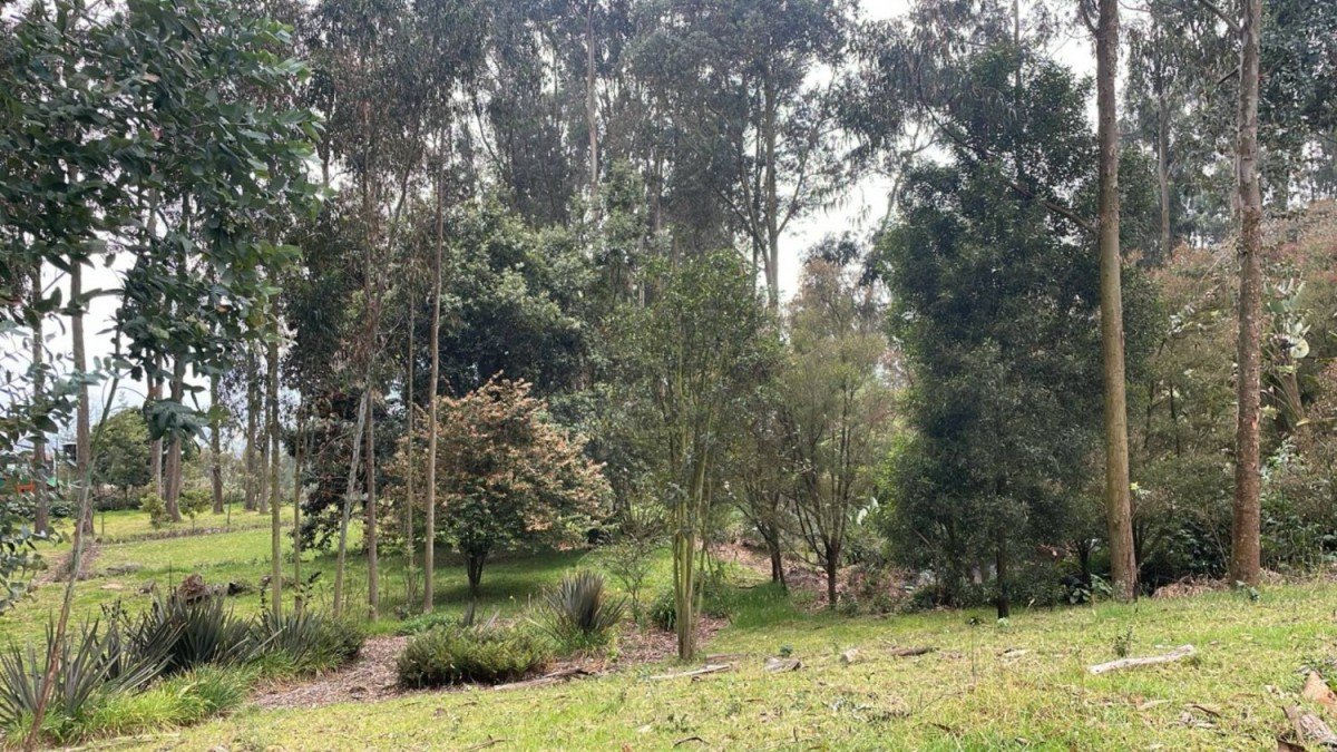 Casa En Arriendo - Vereda Rodamontal, Municipio Cogua