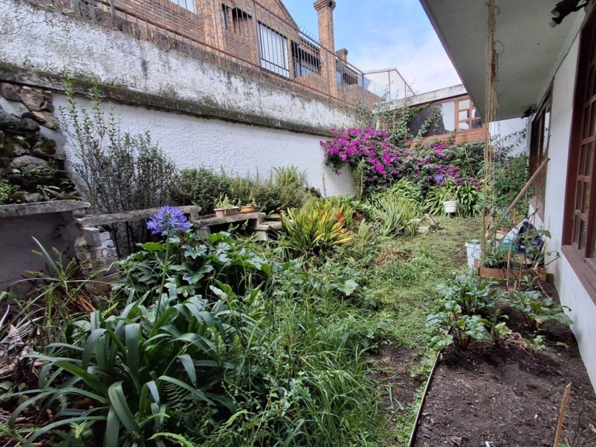 Casa En Arriendo - El Contador, Bogota