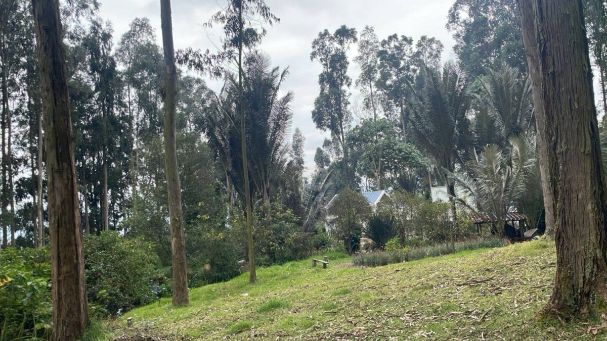 Casa En Arriendo - Vereda Rodamontal, Municipio Cogua