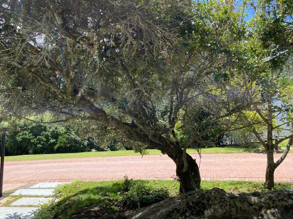 Casa En Arriendo - La Calera, La Calera